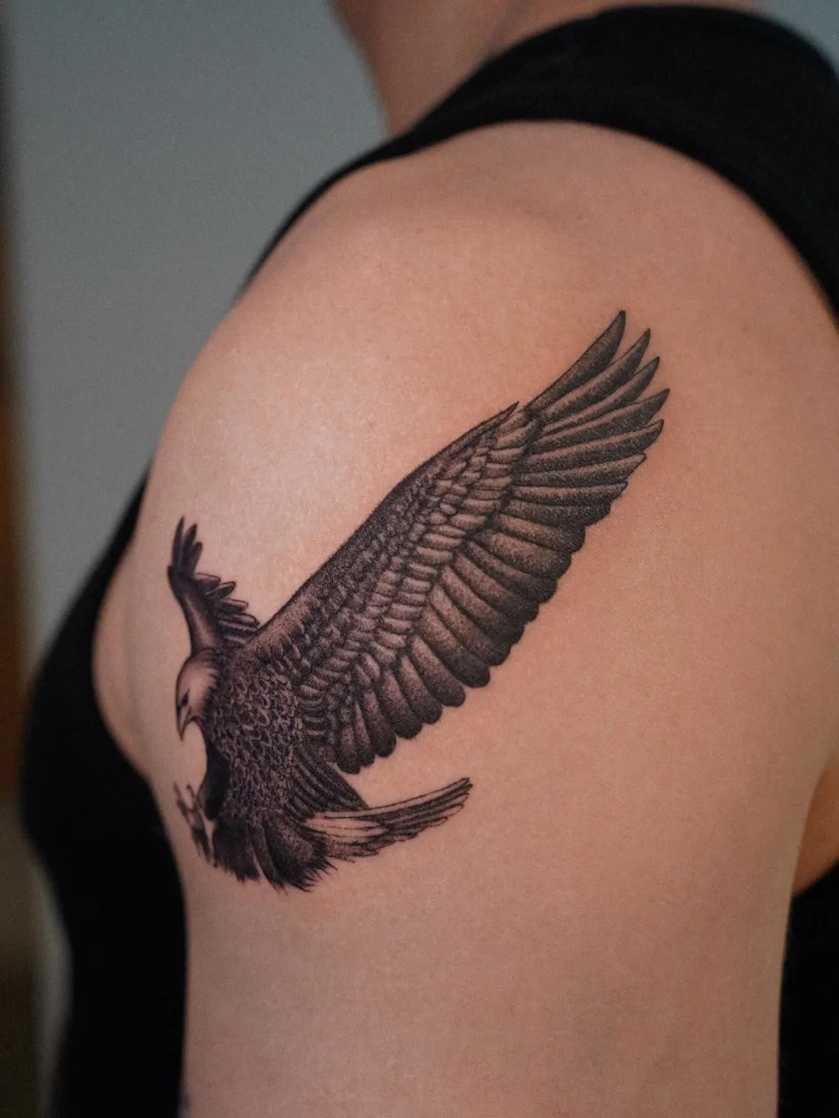 The wing of an eagle in grey wash, close up on a shoulder.