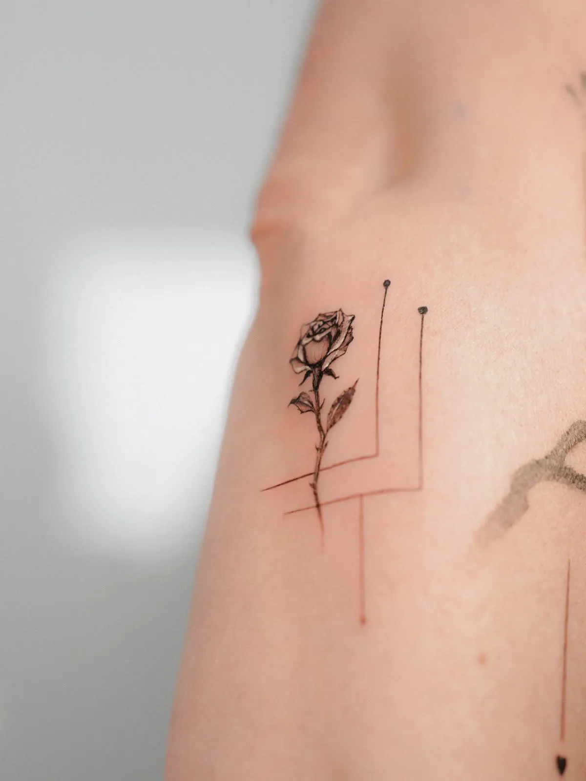 A small rose on a long stem inside a thin line frame, on a ribcage.