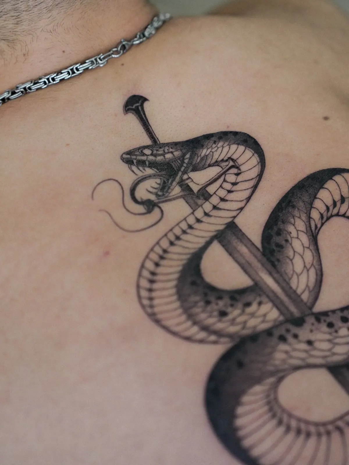 A snake wound around a dagger blade, shaded in grey across a back.